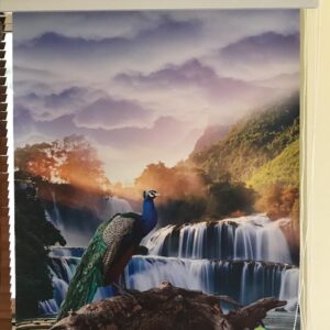 Designer Roller Blinds